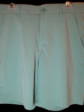 Rorie Whelan Mens Golf Shorts Light Green Size 34